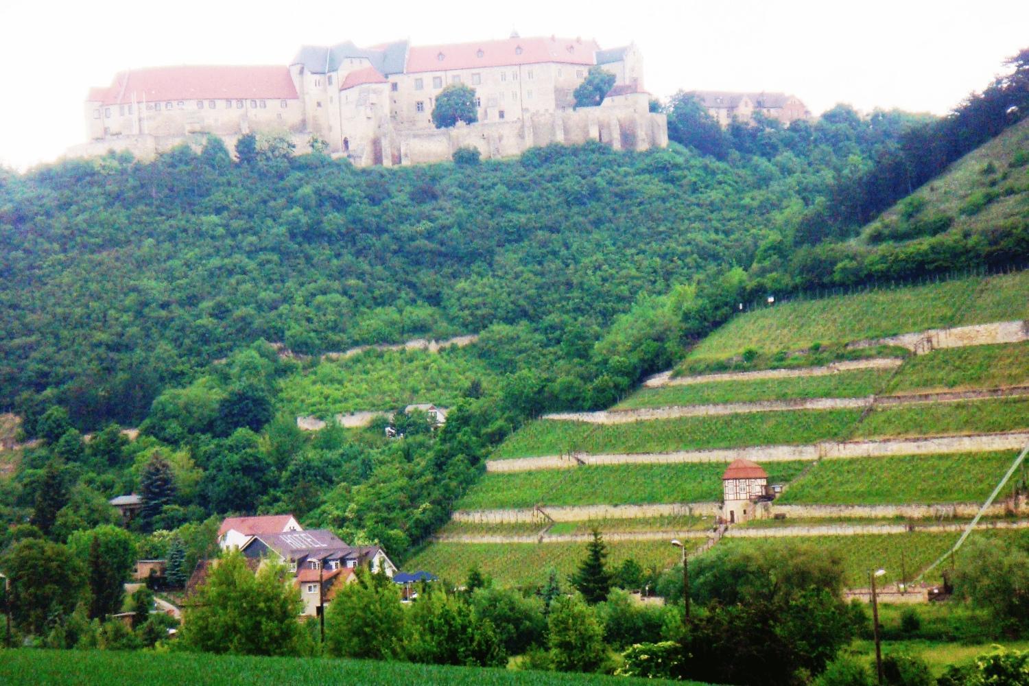 Landhotel Weingut Schulze Freyburg Ngoại thất bức ảnh
